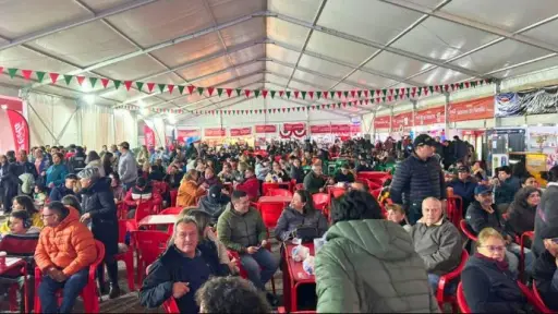 Fiestas Patrias dejaron un menor impulso económico que el proyectado