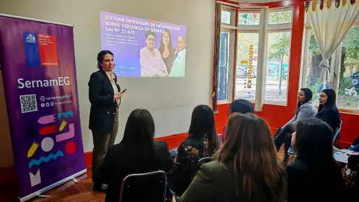 Ministerio de la Mujer evalúa en Biobío nuevo sistema que unifica información sobre casos de violencia de género
