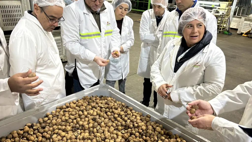 El consumo de nueces a nivel mundial continúa creciendo, lo que abre oportunidades de conectar a los productores de la región con mercados internacionales que demandan cada vez más este alimento.