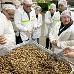 El consumo de nueces a nivel mundial continúa creciendo, lo que abre oportunidades de conectar a los productores de la región con mercados internacionales que demandan cada vez más este alimento.
