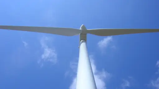 Central eólica de Negrete enfrenta proceso sancionatorio por falta de medidas para resguardar avifauna