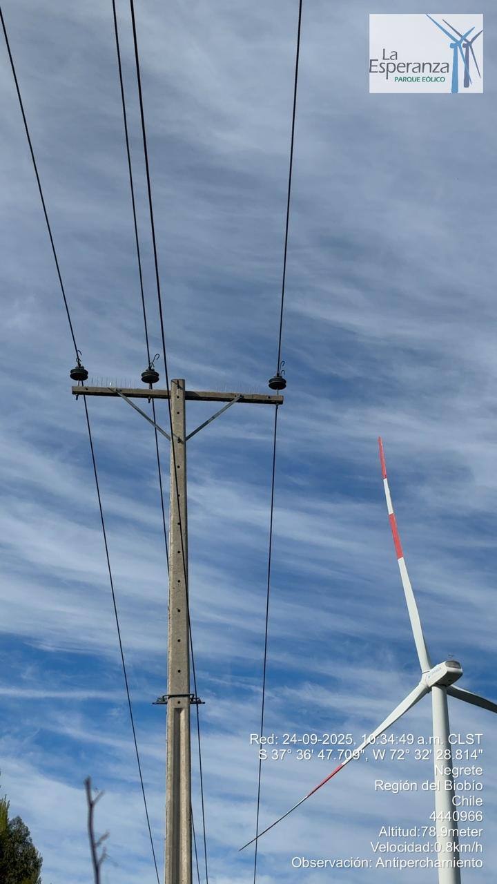 Imagen enviada por el gerente general Santiago Alliende, quien asegura que  / Cedida