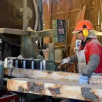 Cierre de aserraderos golpea a la región: pymes forestales llaman a modernizar la política del sector, Diario La Tribuna