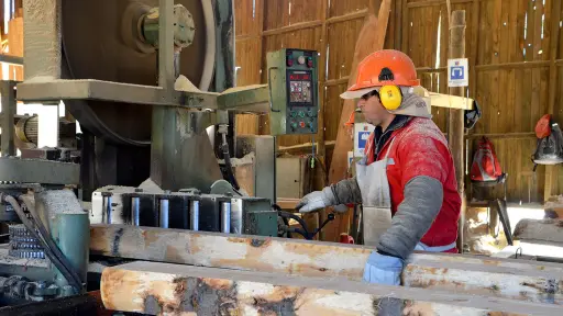 Cierre de aserraderos golpea a la región: pymes forestales llaman a modernizar la política del sector