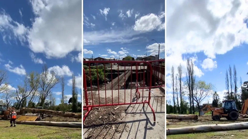 Municipalidad de Los Ángeles