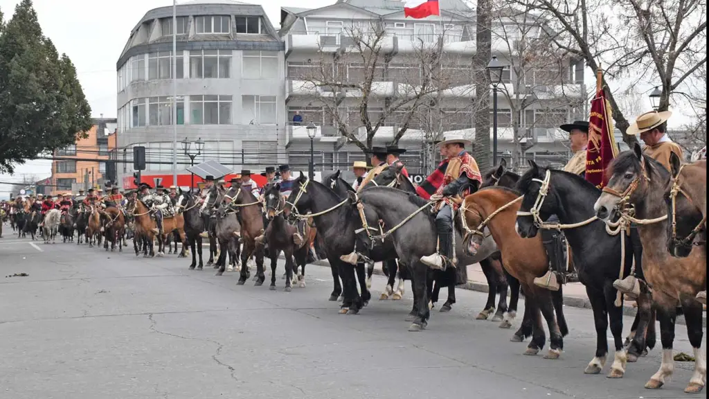 Caballo chileno, Fredy Muñoz, La Tribuna