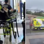 Dos guardias fueron apuñalados tras repeler hurto en un supermercado de Valdivia, Diario La Tribuna