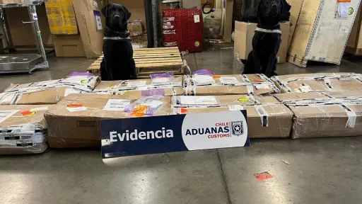 Encuentran más de 235 kilos de resina de marihuana en encomienda de gatas hidraulicas 