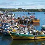 Las asociaciones solicitaron al Gobierno retirar la urgencia legislativa y abrir el diálogo técnico con los actores de manera para proteger empleos y la economía local, argumentan.