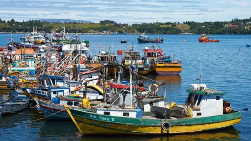 Gremios del Biobío llaman al Gobierno a detener urgencia de ley de pesca y proteger empleo