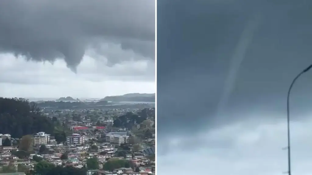 tromba marina, internet