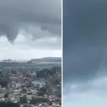 tromba marina, internet