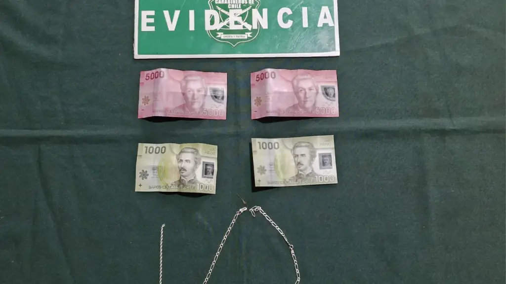 Las especies sustraídas por el delincuente fueron recuperadas por Carabineros., Cedida