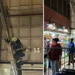 Bomberos concurren para rescatar a gatito atrapado en techos de la Vega Techada de Los Ángeles, Diario La Tribuna
