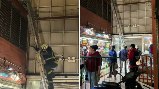 Bomberos concurren para rescatar a gatito atrapado en entretecho de la Vega Techada de Los Ángeles