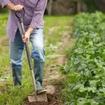 Antonio Walker, presidente de la Sociedad Nacional de Agricultura (SNA), promueve la formalización de la mano de obra extranjera a través de convenios con el Servicio Nacional de Migraciones.