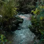 El objetivo es estudiar cómo se comporta y se desplaza la fauna silvestre, para orientar las estrategias de conservación y manejo del área protegida.