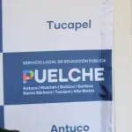 SLEP Puelche , Diario La Tribuna