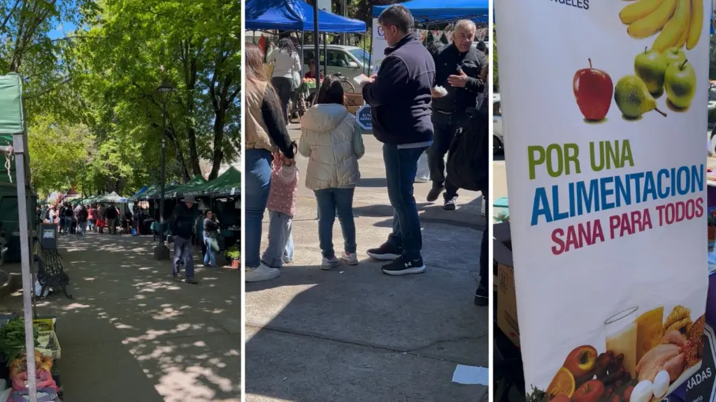 Dia alimentación saludable, La Tribuna