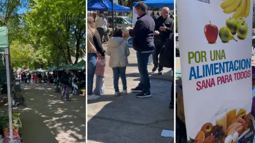 Preocupante alza de obesidad infantil en Biobío: casi 4 de cada 10 niños menores de cinco años presentan exceso de peso