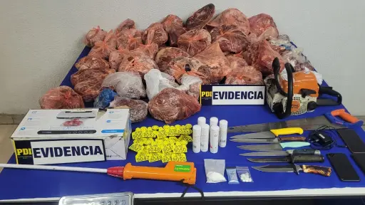 Desarticulan banda dedicada al abigeato y microtráfico en la zona sur de La Araucanía