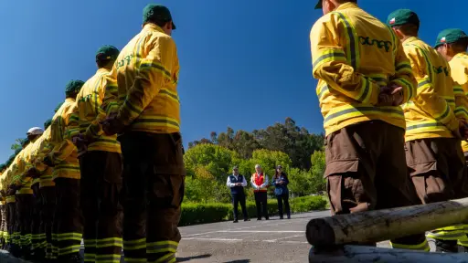 Conaf preparará a jefes de brigada para temporada de incendios forestales