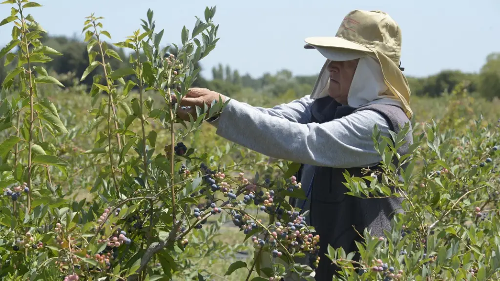 Mujer rural, Archivo La Tribuna