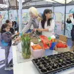 Durante la feria, los asistentes pudieron disfrutar de diversos experimentos y presentaciones del mundo de la ciencia y la tecnología. , cedida