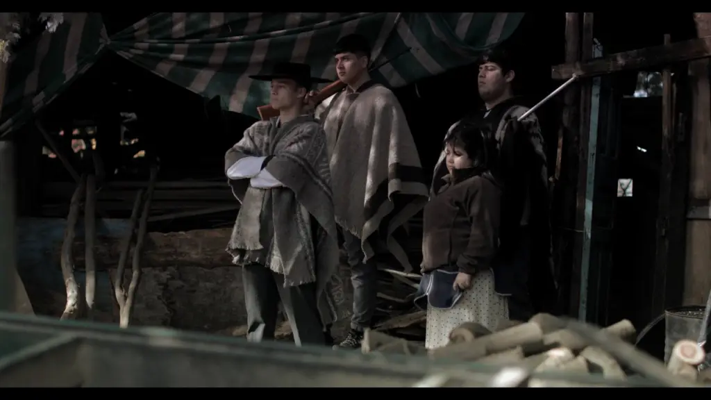 Cortometraje de estudiantes de Mulchén gana premio a Mejor Película sobre DD.HH. en India, cedida