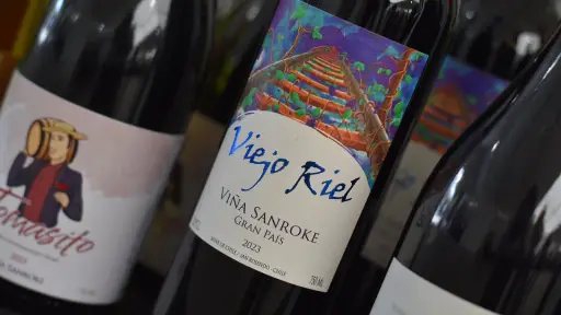 Productores del Biobío dan vida a la Feria del Vino en el Parque Ecuador 