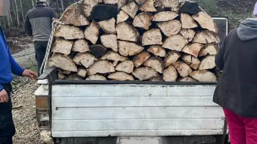 Detienen a mujer en Mulchén por robo de madera nativa desde predio forestal