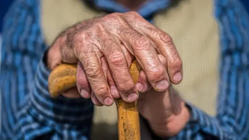 Discapacidad golpea con fuerza a comunas rurales: Alto Biobío supera el 66% entre mayores de 80