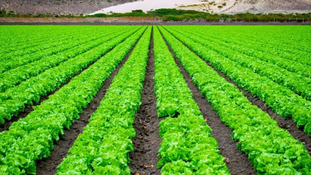 Desde la corporación de derecho privado se detalló que su foco es entregar evidencia técnica para el desarrollo de mejores políticas agrarias.