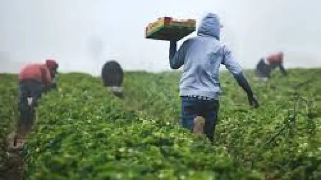 Pensar Agro Chile posee tres ejes de acción: fortalecimiento institucional, certeza jurídica para promover la innovación e impulsar la producción y la competitividad en el campo. / LexLatin