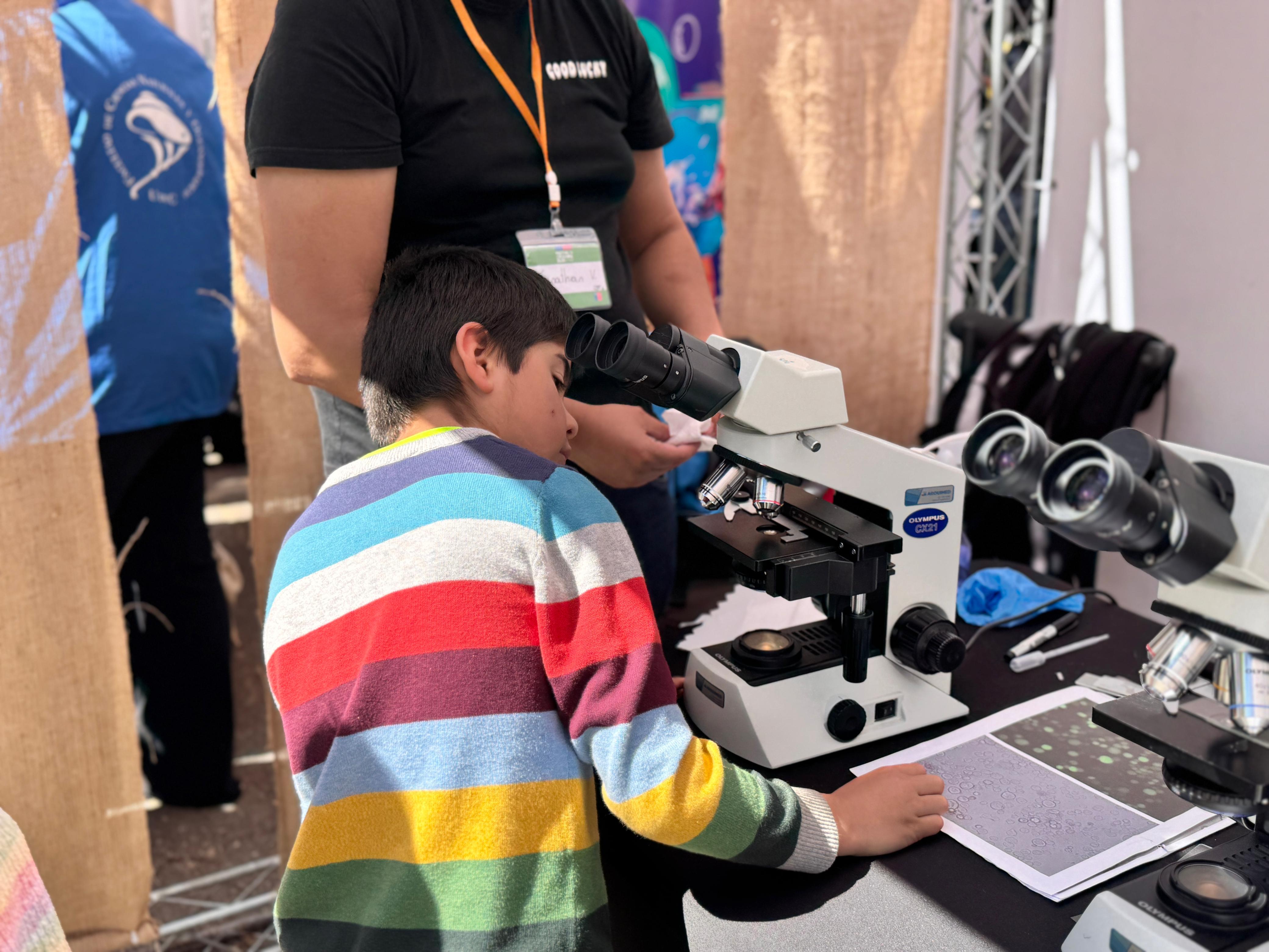 Festival de las Ciencias 2025 Región del Biobío. / Ministerio de Ciencia, Tecnología, Conocimiento e Innovación