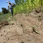El manejo coordinado del Sistema Laja y de los principales canales de riego ha sido clave para mantener la actividad agrícola en medio del déficit hídrico que afecta a la provincia.