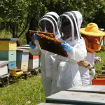 La actualización es obligatoria para acceder a programas sanitarios y recibir avisos de plaguicidas desde 2026., contexto