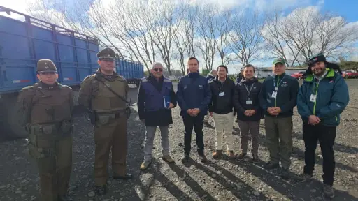 Plan contra el abigeato logra disminuir los robos de ganado en la provincia de Biobío