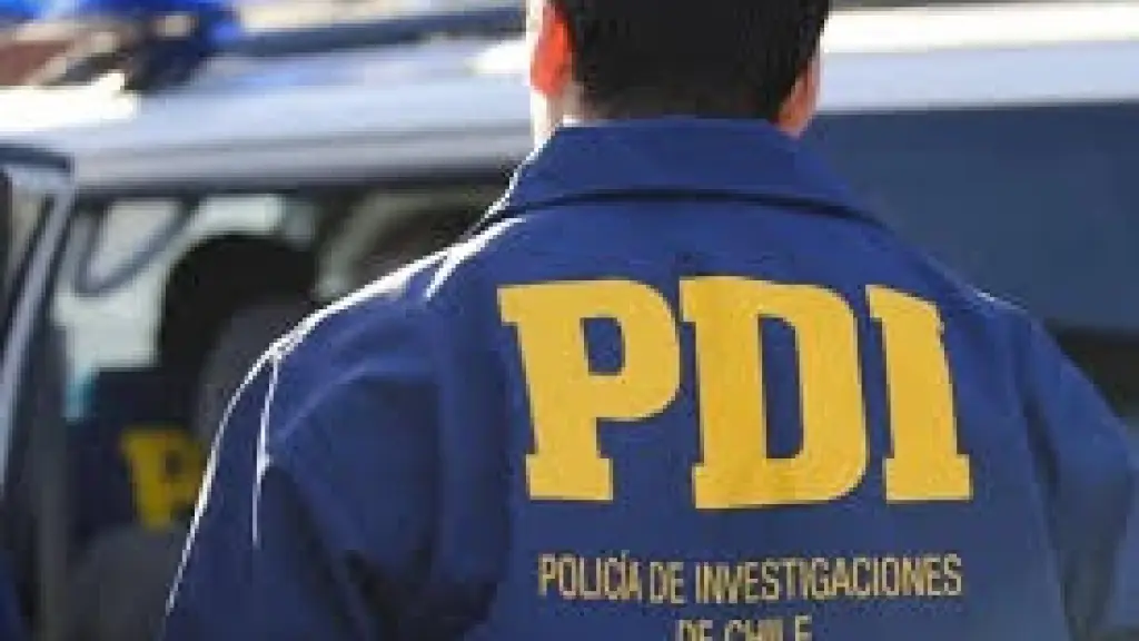 Las diligencias fueron lideradas por detectives de la PDI, PDI Biobío