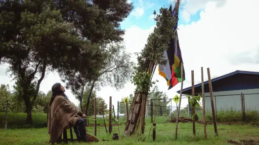 Cabrero celebra el fortalecimiento de la cultura mapuche con un exitoso Trafkintu 