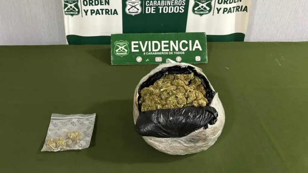 Droga incautada por personal especializado del O.S.7 Los Ángeles, Cedida