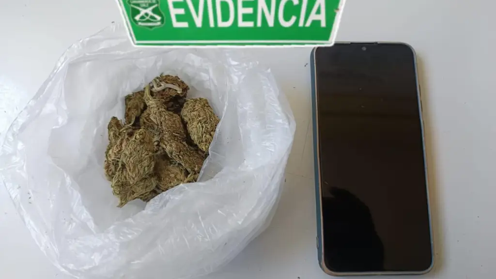 Droga incautada por parte de personal policial de la Sección Centauro. / Cedida