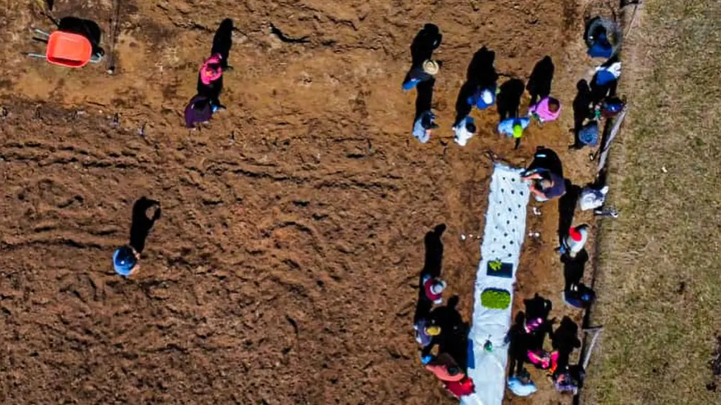 Loncopangue apuesta por la agricultura del futuro con primer invernadero hidropónico de Quilaco, Municipalidad de Quilaco
