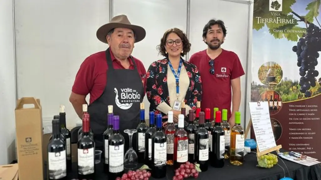 Evento reunirá a viñas vinculadas a la Agricultura Familiar Campesina e Indígena (AFCI) , INDAP