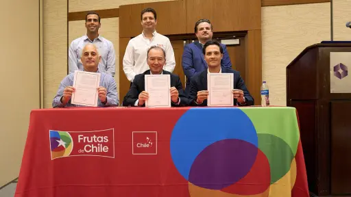 Industrias de la uva de Chile, Perú y México lanzan oficialmente el Global Grape Group