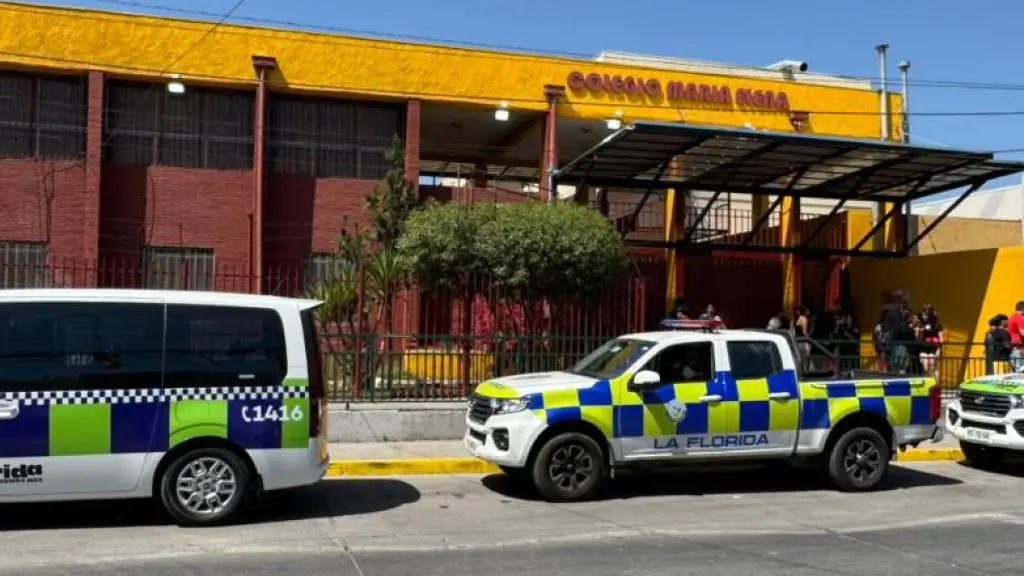 El accidente es investigado por Carabineros y la Corporación Municipal de La Florida., Redes sociales