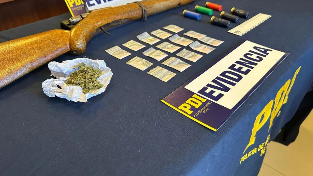 Decomiso de la PDI en Queule, PDI Araucanía