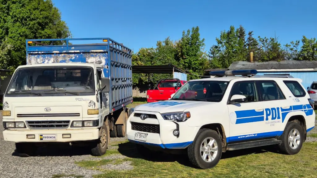 Diligencias fueron dirigida por la PDI , PDI Araucanía