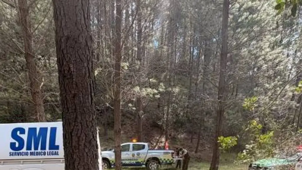 Encuentran cadaver en predio forestal de Yumbel, Info Bio Bio Los Ángeles