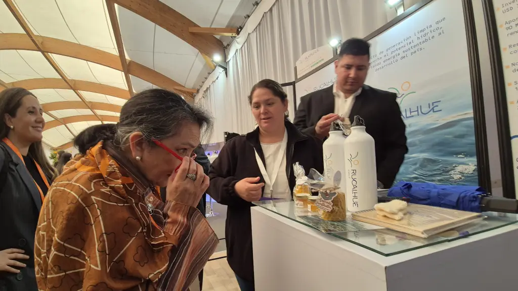 Registro participación Rucalhue Energía en EREDE 2025. / Rucalhue Energía SpA